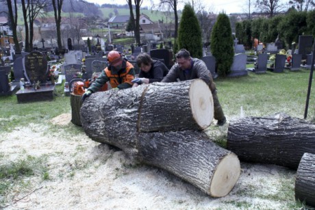 Kácení u hřbitova v Tylovicích duben 2012 043