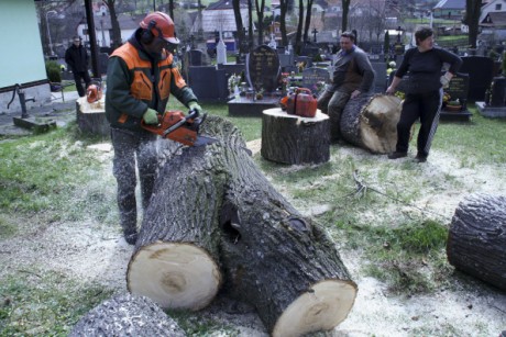 Kácení u hřbitova v Tylovicích duben 2012 044