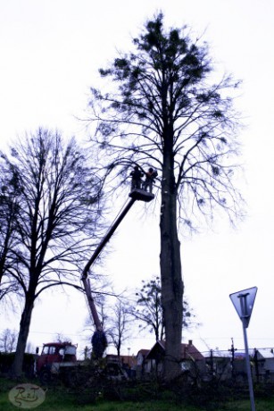 Kácení u hřbitova v Tylovicích duben 2012 003