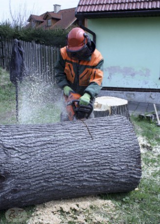 Kácení u hřbitova v Tylovicích duben 2012 033